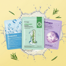 Face Mask - Pack of 3